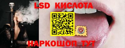 ПСИЛОЦИБИНОВЫЕ ГРИБЫ Гусев