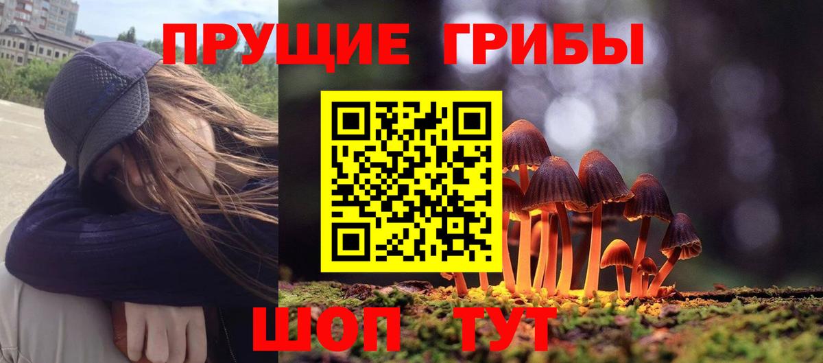 Галлюциногенные грибы мухоморы Михайловка
