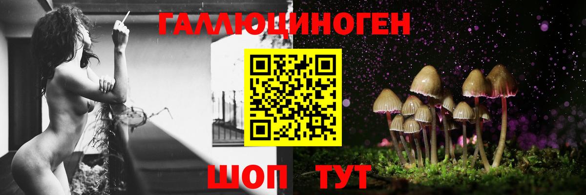 Псилоцибиновые грибы GOLDEN TEACHER  Вход с VPN  Михайловка 