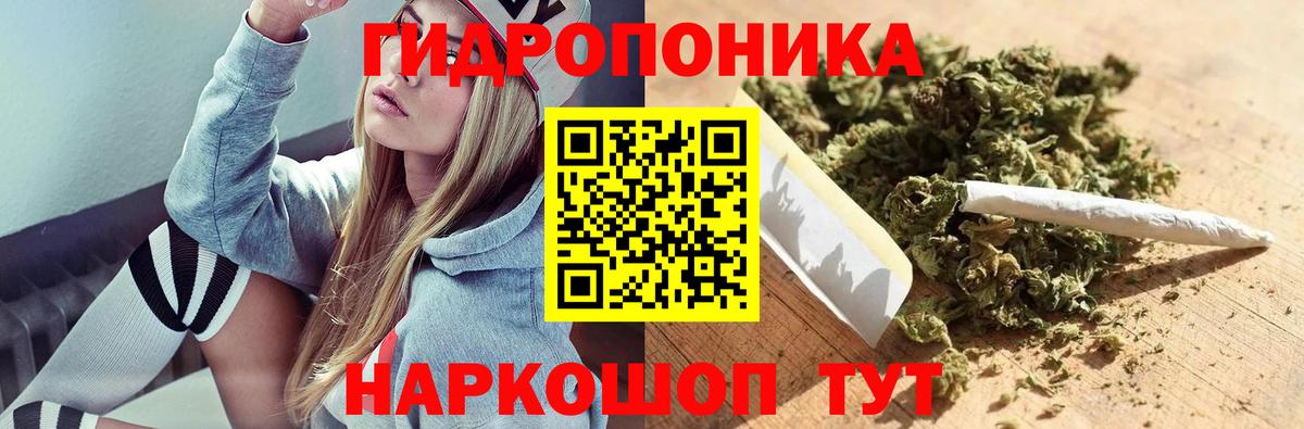 Бошки Шишки конопля  Конопля индика  Вход с VPN  Канабис THC 21%  Михайловка  Бошки Шишки план 